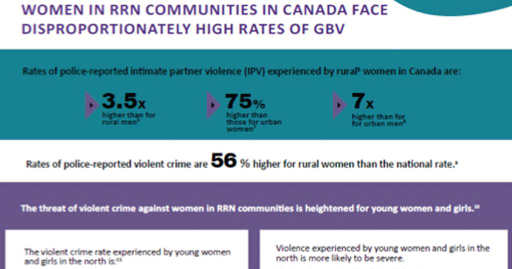 Recommendations to Address Intimate Partner Violence (IPV) and Femicide